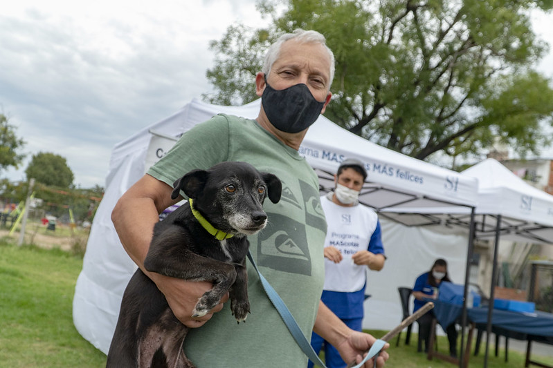 SAN ISIDRO: DÓNDE VACUNAR MASCOTAS ESTA SEMANA