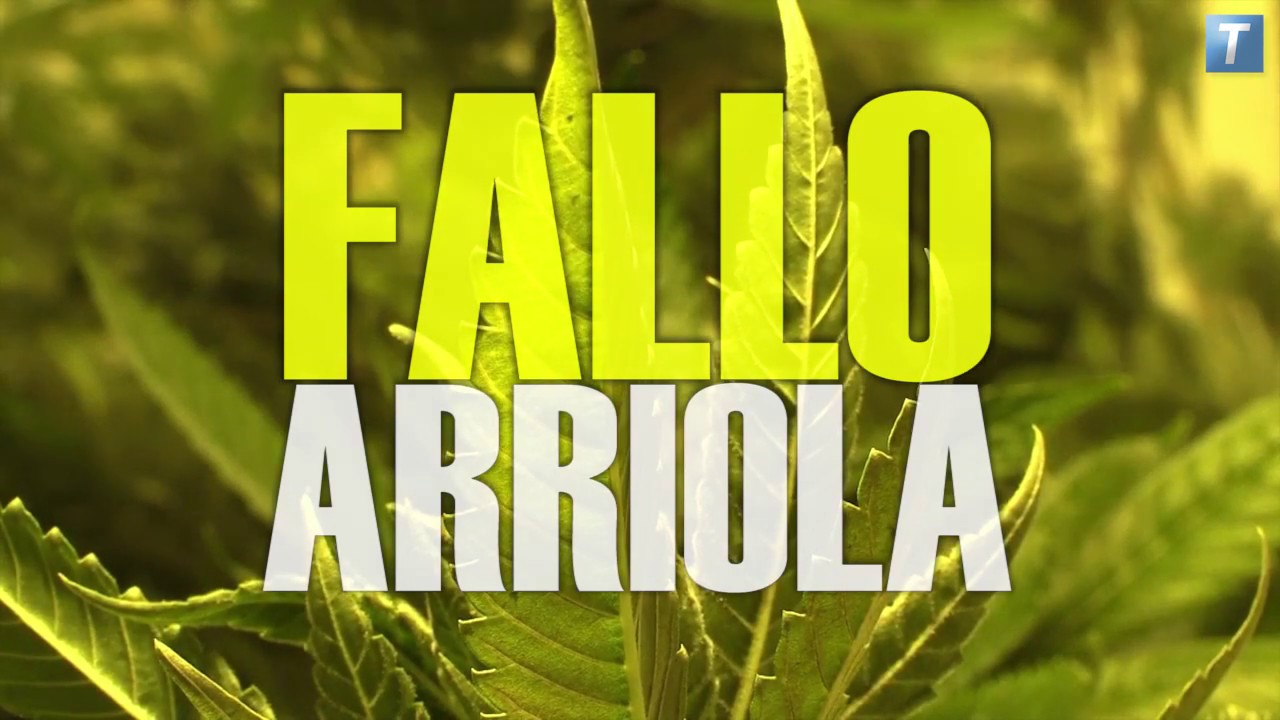 Jornadas debates a 10 años del fallo Arriola